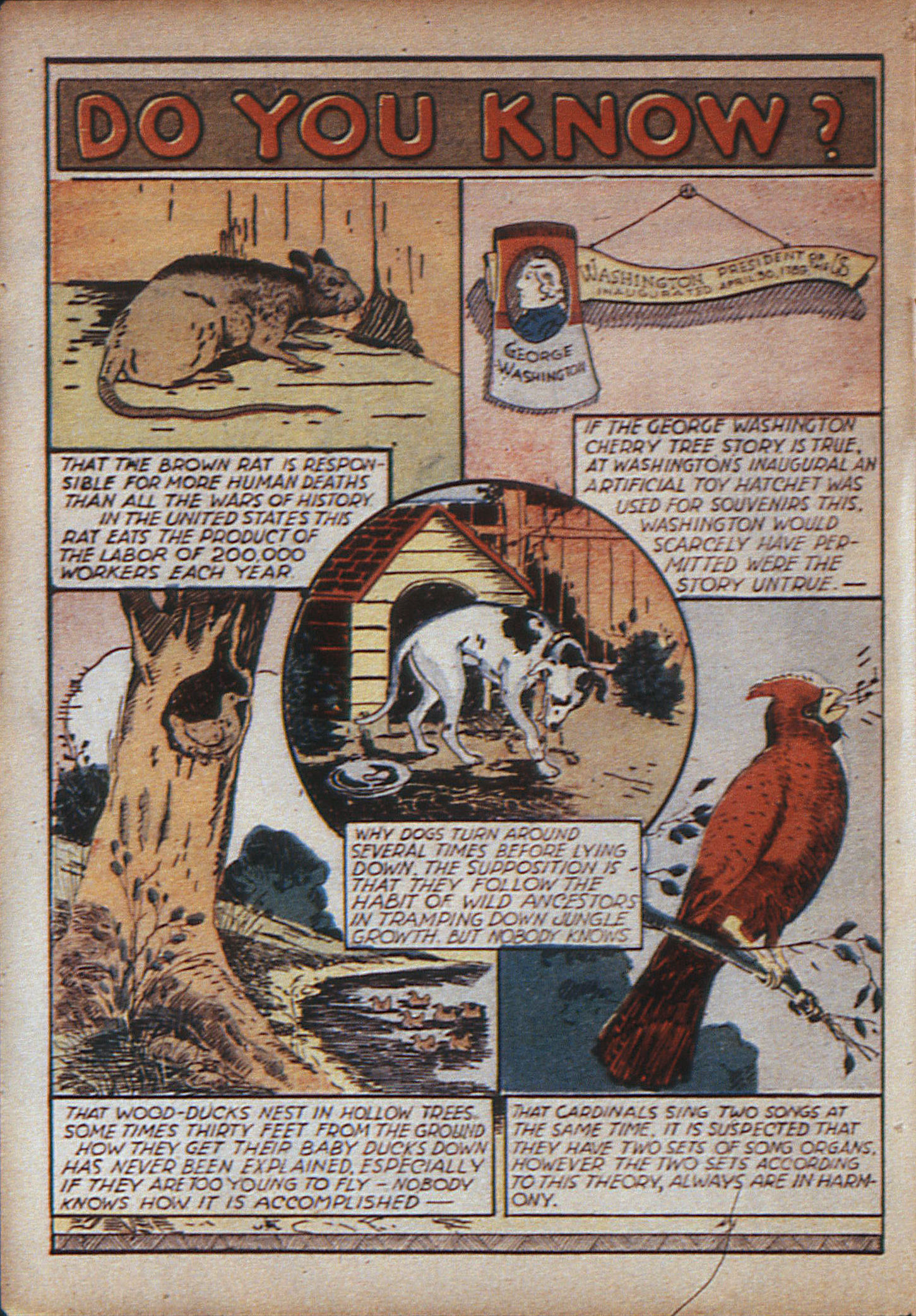 Adventure Comics (1938) Issue #12 - Page 7