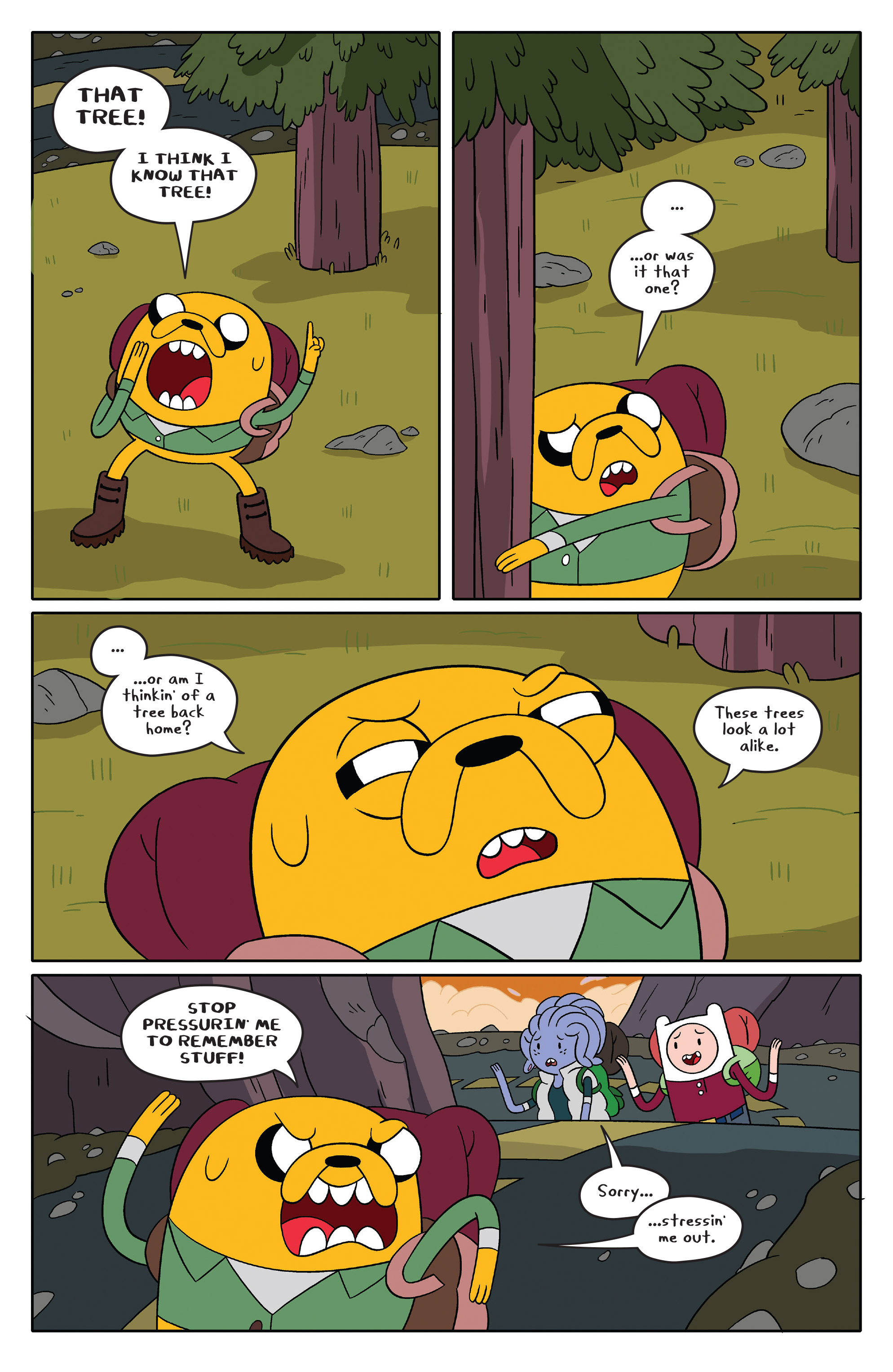 Adventure Time Issue #47 - Page 13