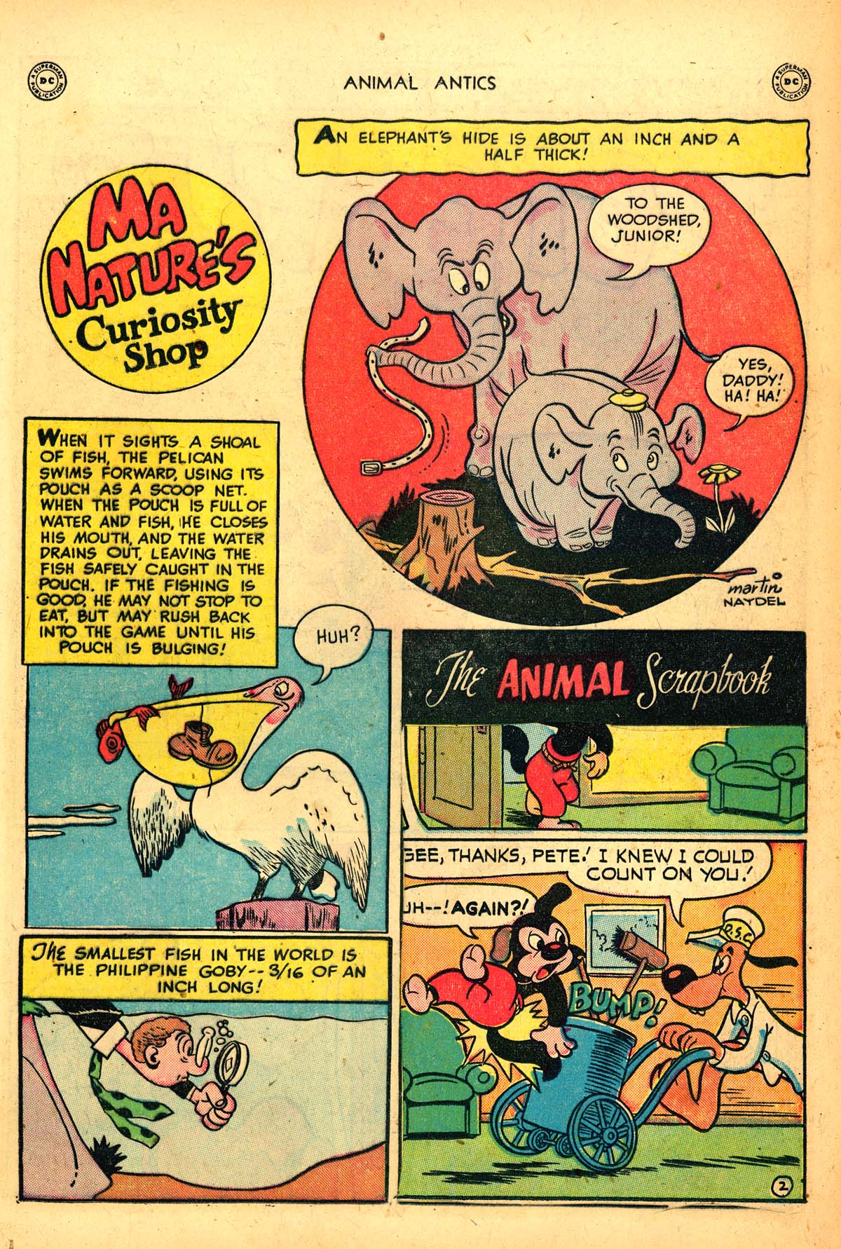 Animal Antics Issue #21 - Page 19