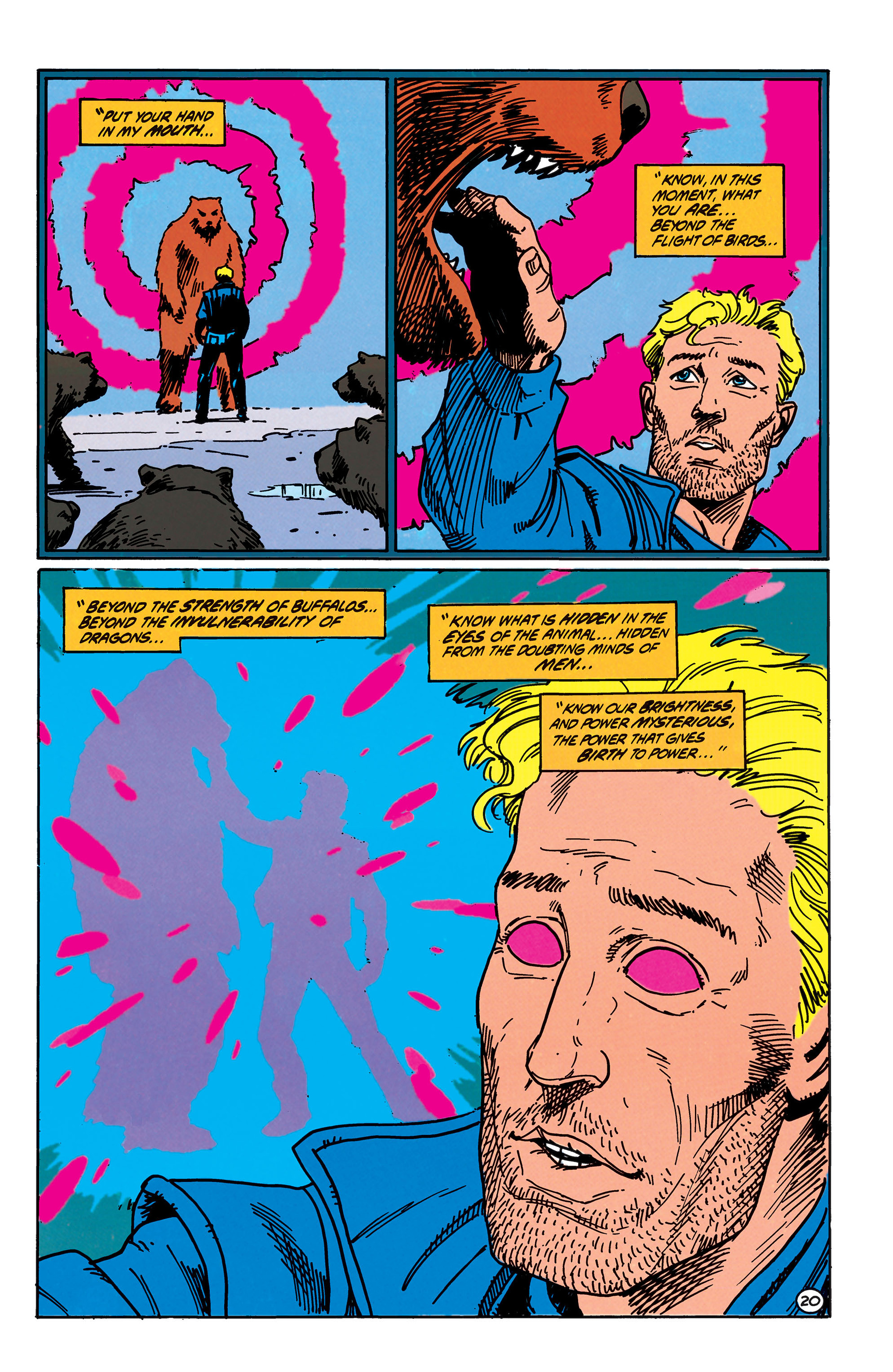 Animal Man (1988) Issue #40 - Page 21