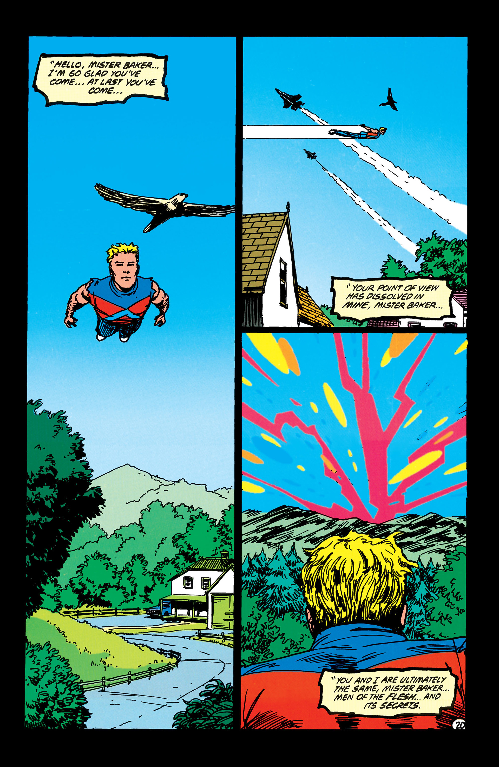 Animal Man (1988) Issue #41 - Page 21