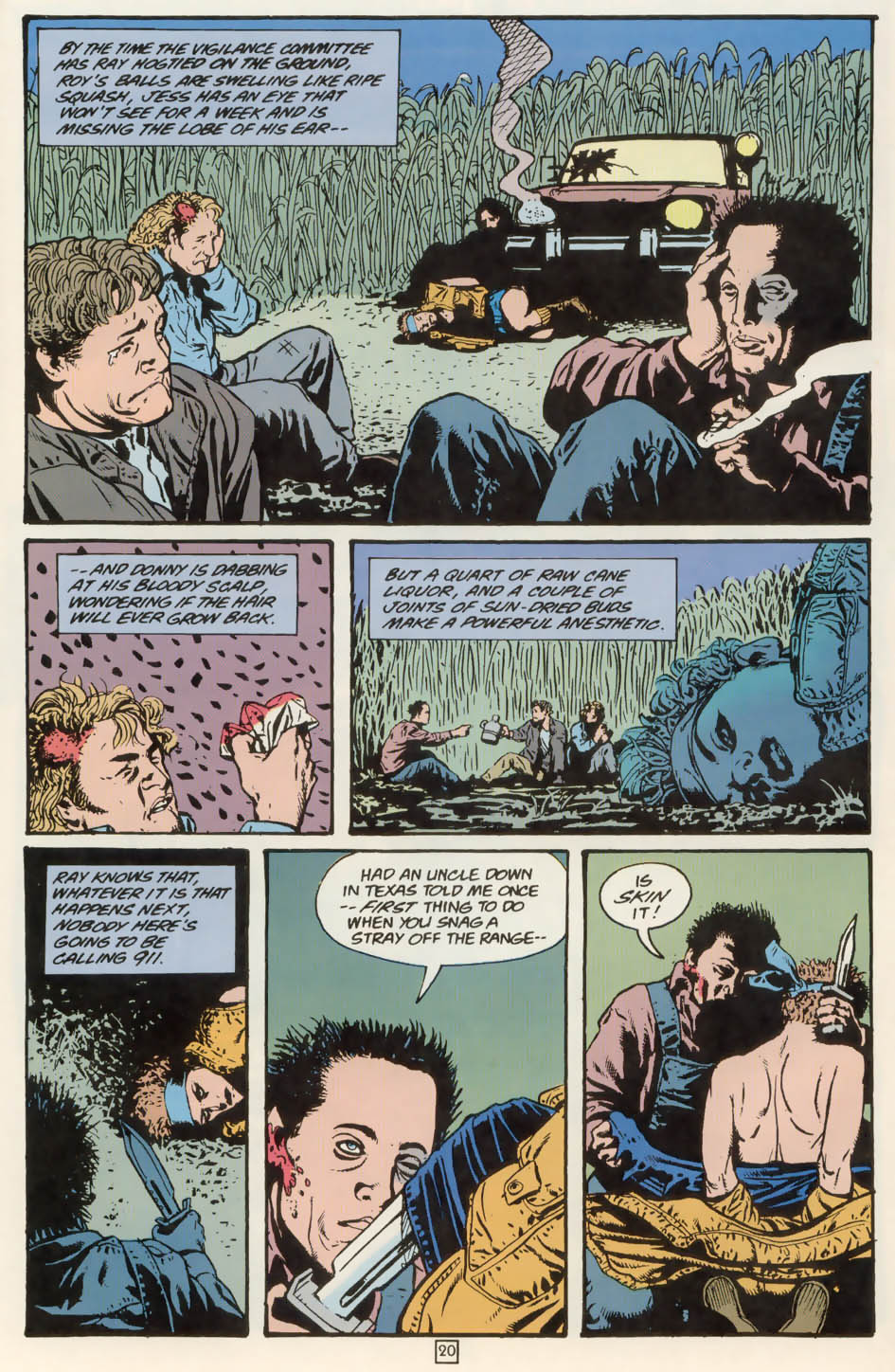 Animal Man (1988) Issue #76 - Page 21