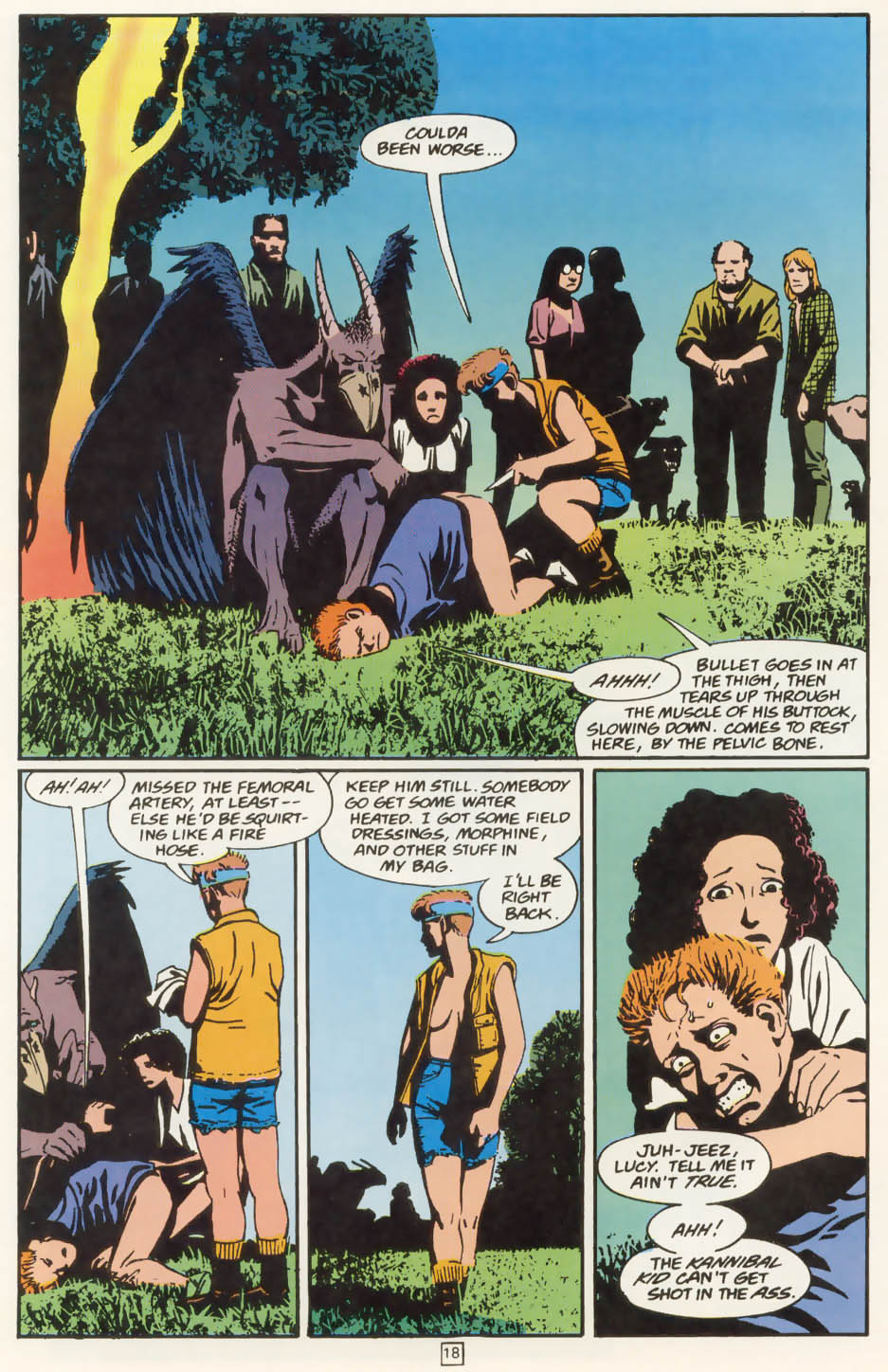 Animal Man (1988) Issue #77 - Page 19