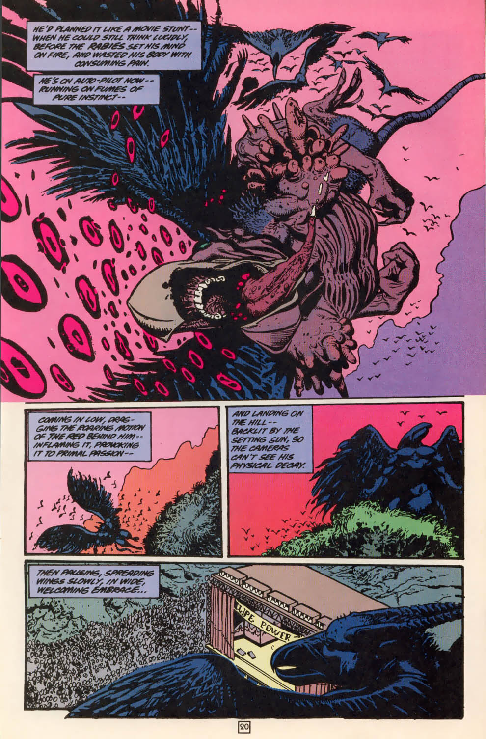 Animal Man (1988) Issue #79 - Page 20