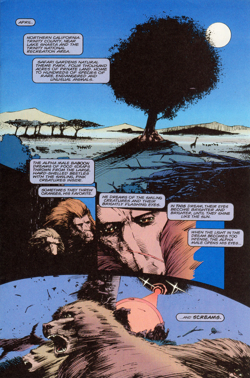 Animal Man (1988) Issue #81 - Page 2