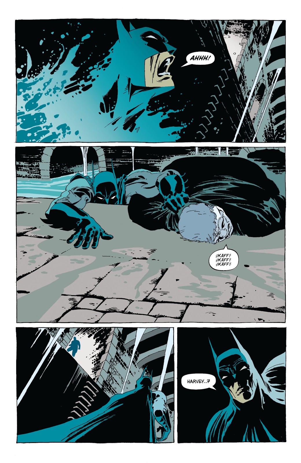 Batman by Jeph Loeb & Tim Sale Omnibus TPB_(Part_7) - Page 63