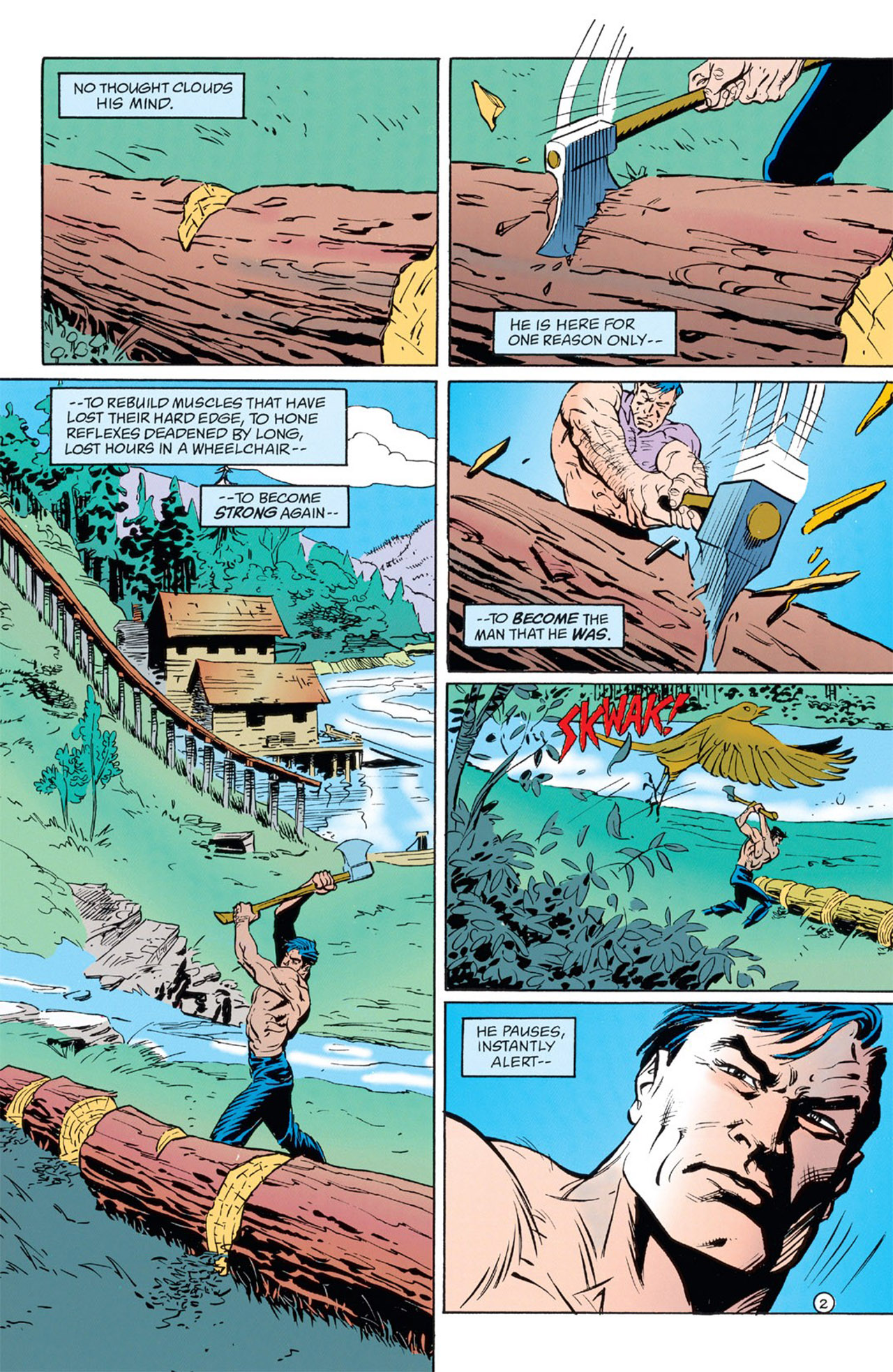 Batman: Shadow of the Bat Issue #29 - Page 4