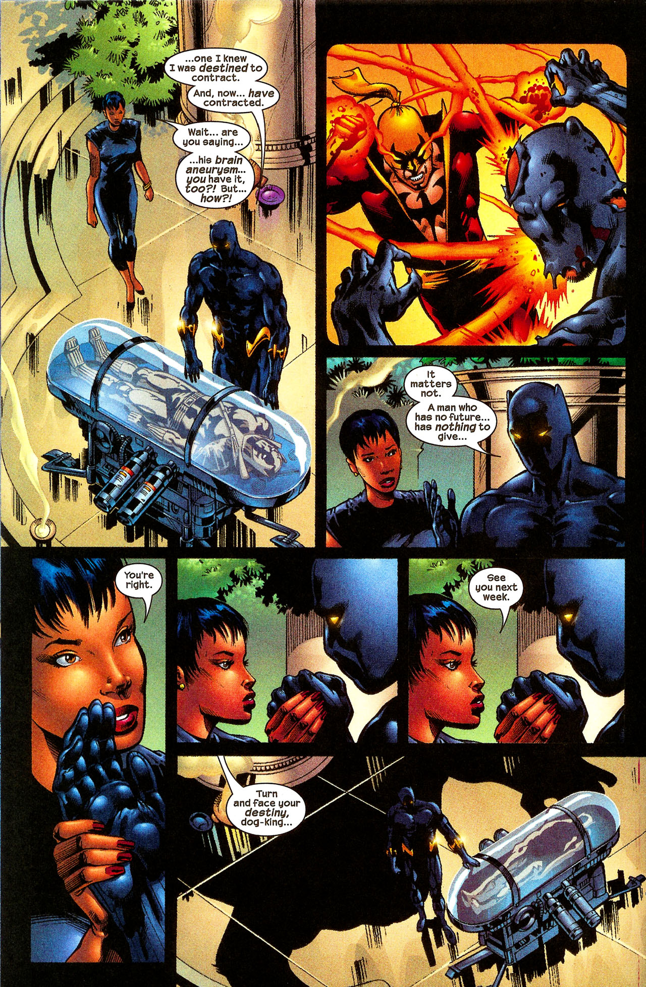 Black Panther (1998) Issue #48 - Page 21