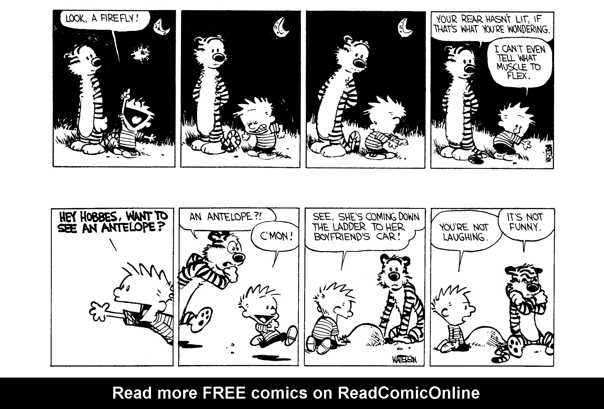 Calvin and Hobbes Issue #3 - Page 28