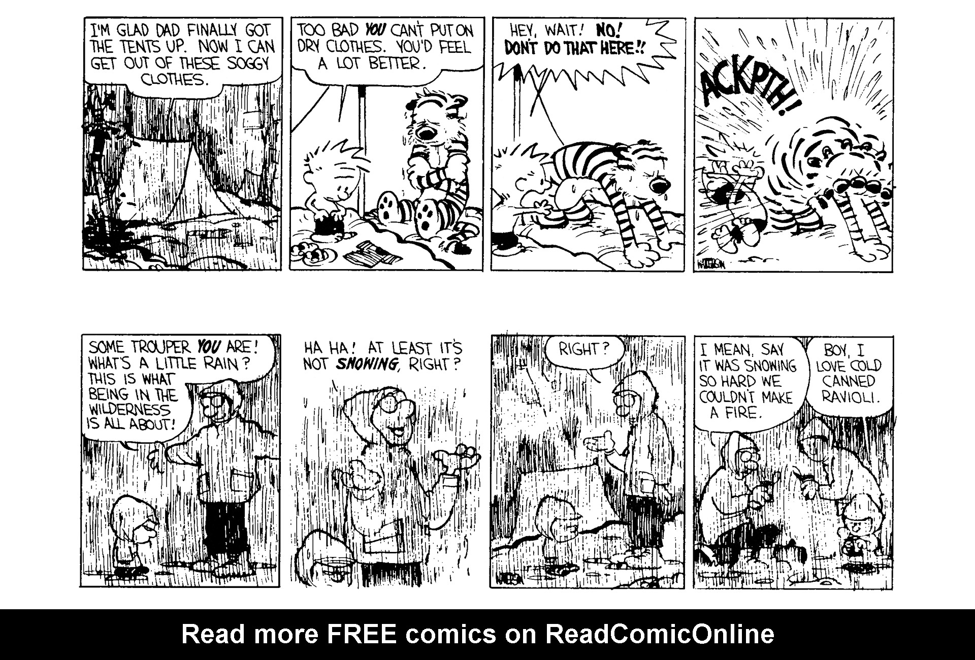 Calvin and Hobbes Issue #3 - Page 53