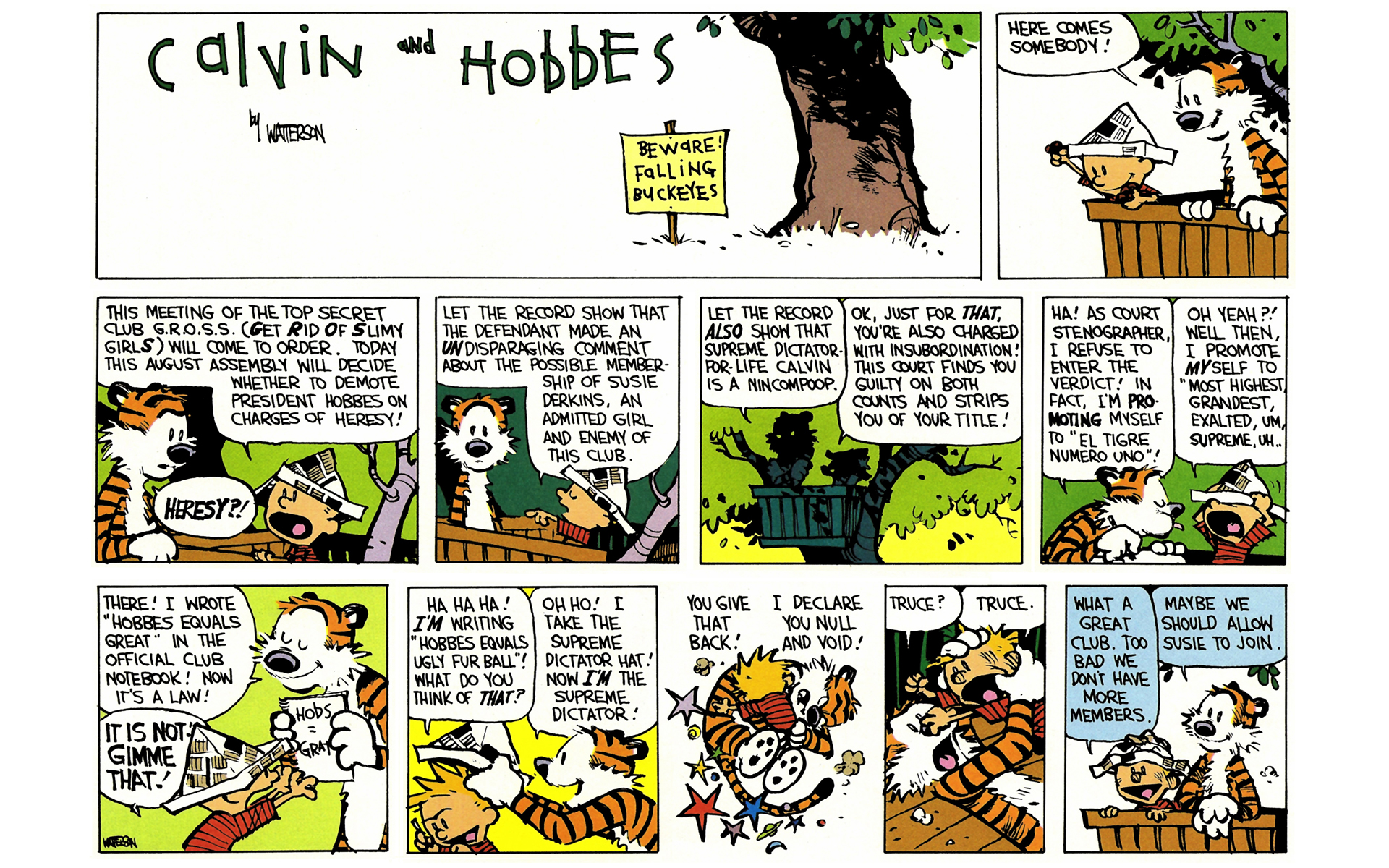 Calvin and Hobbes Issue #6 - Page 109