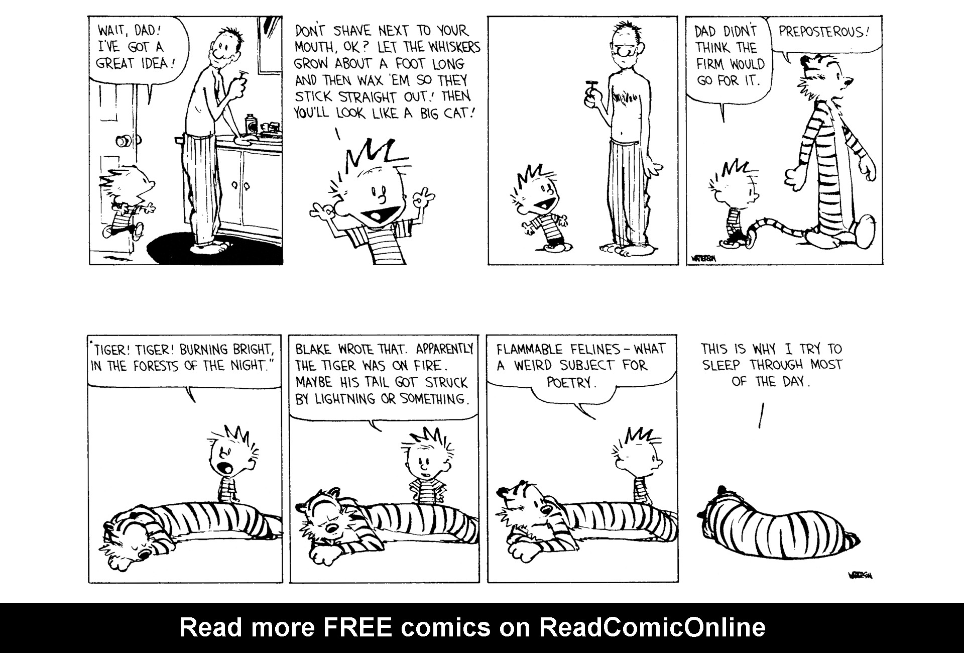 Calvin and Hobbes Issue #9 - Page 84