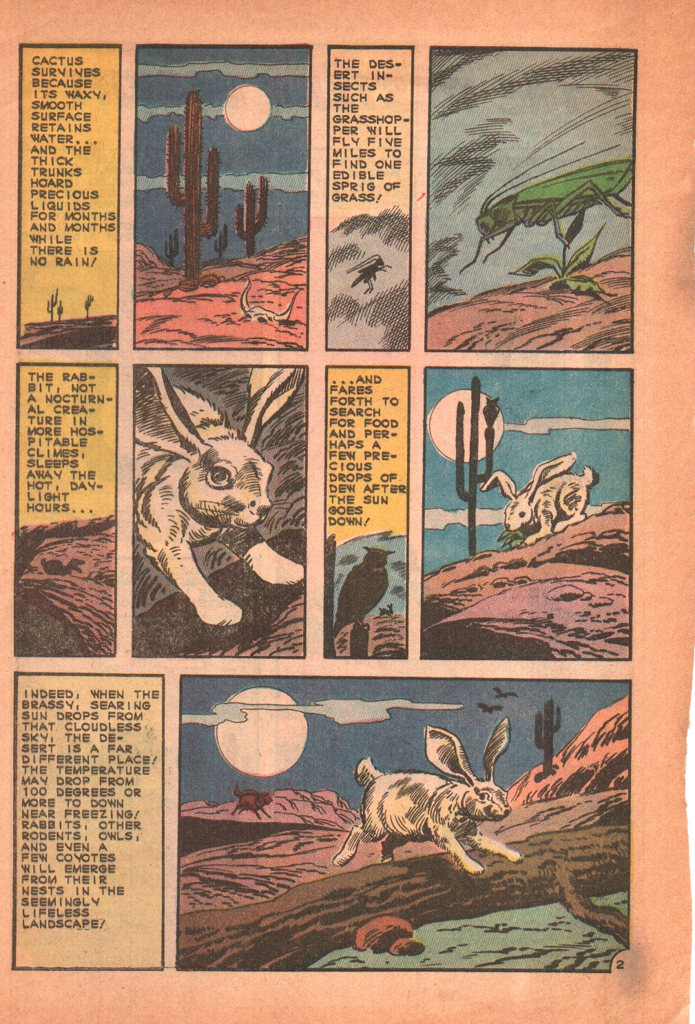 Cheyenne Kid Issue #53 - Page 32