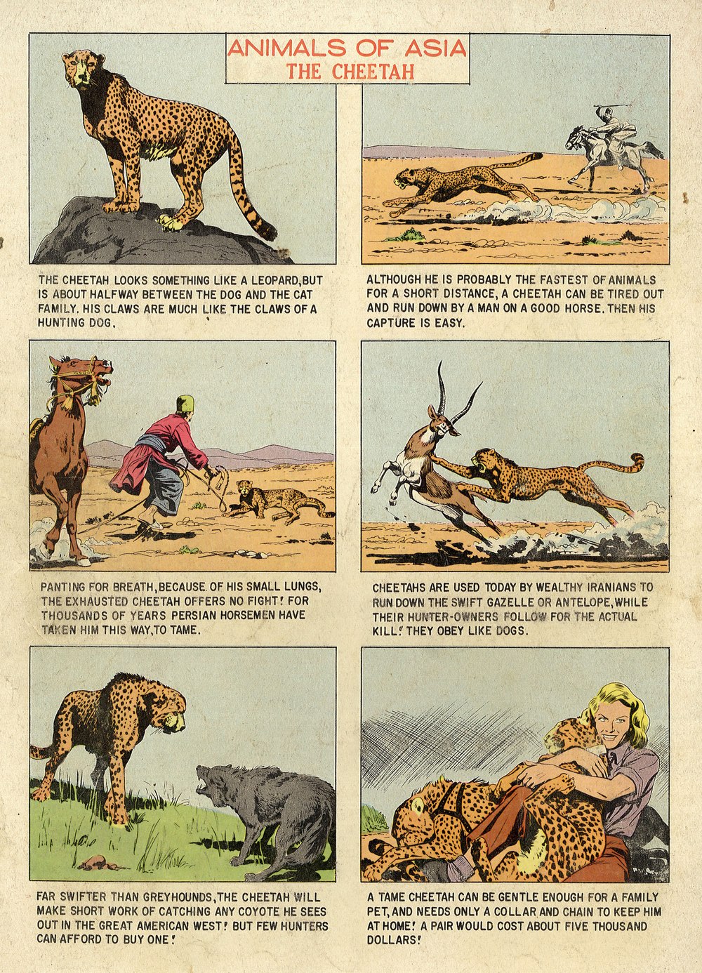 Four Color Comics Issue #1020 - Page 36