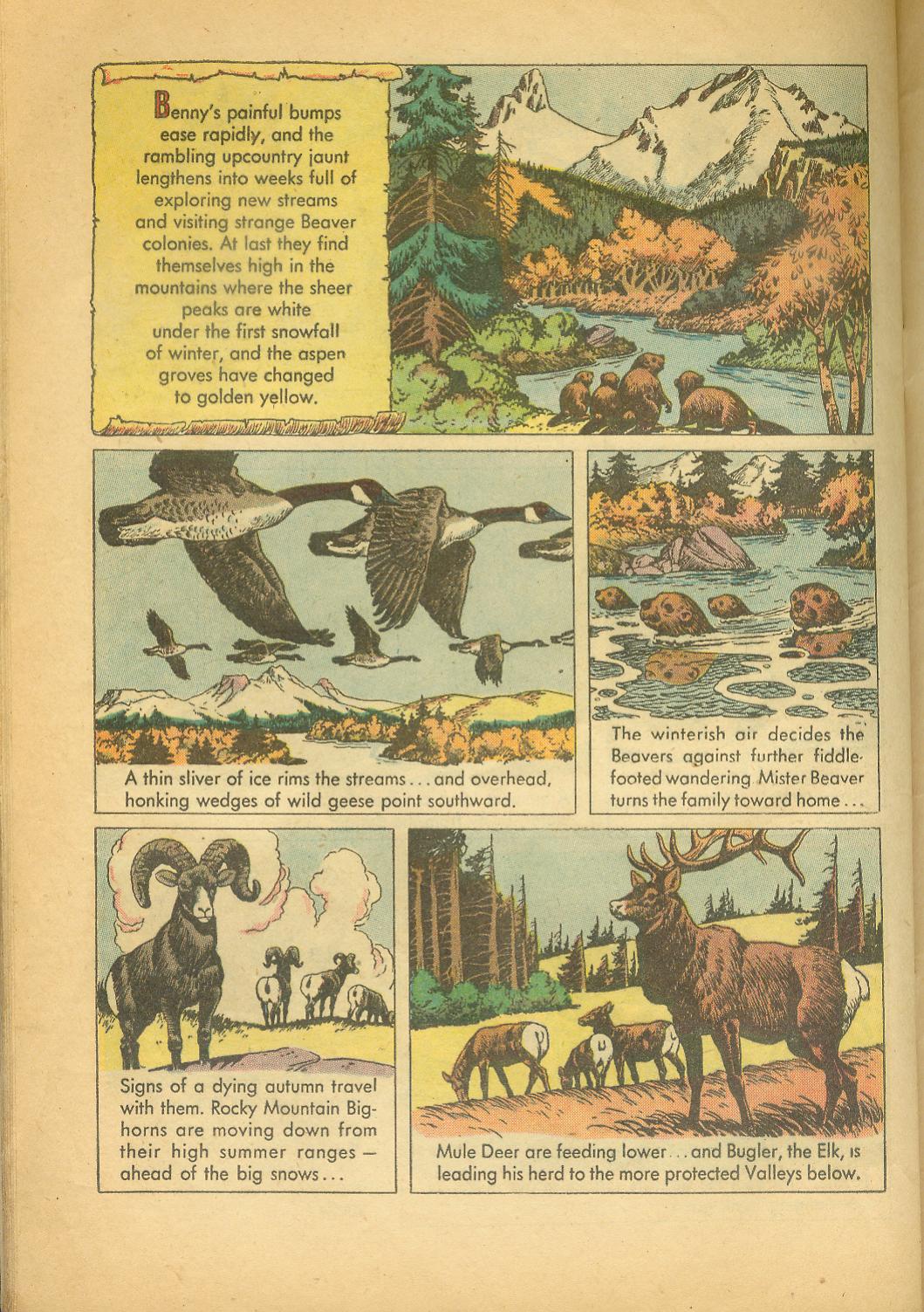 Four Color Comics Issue #625 - Page 28