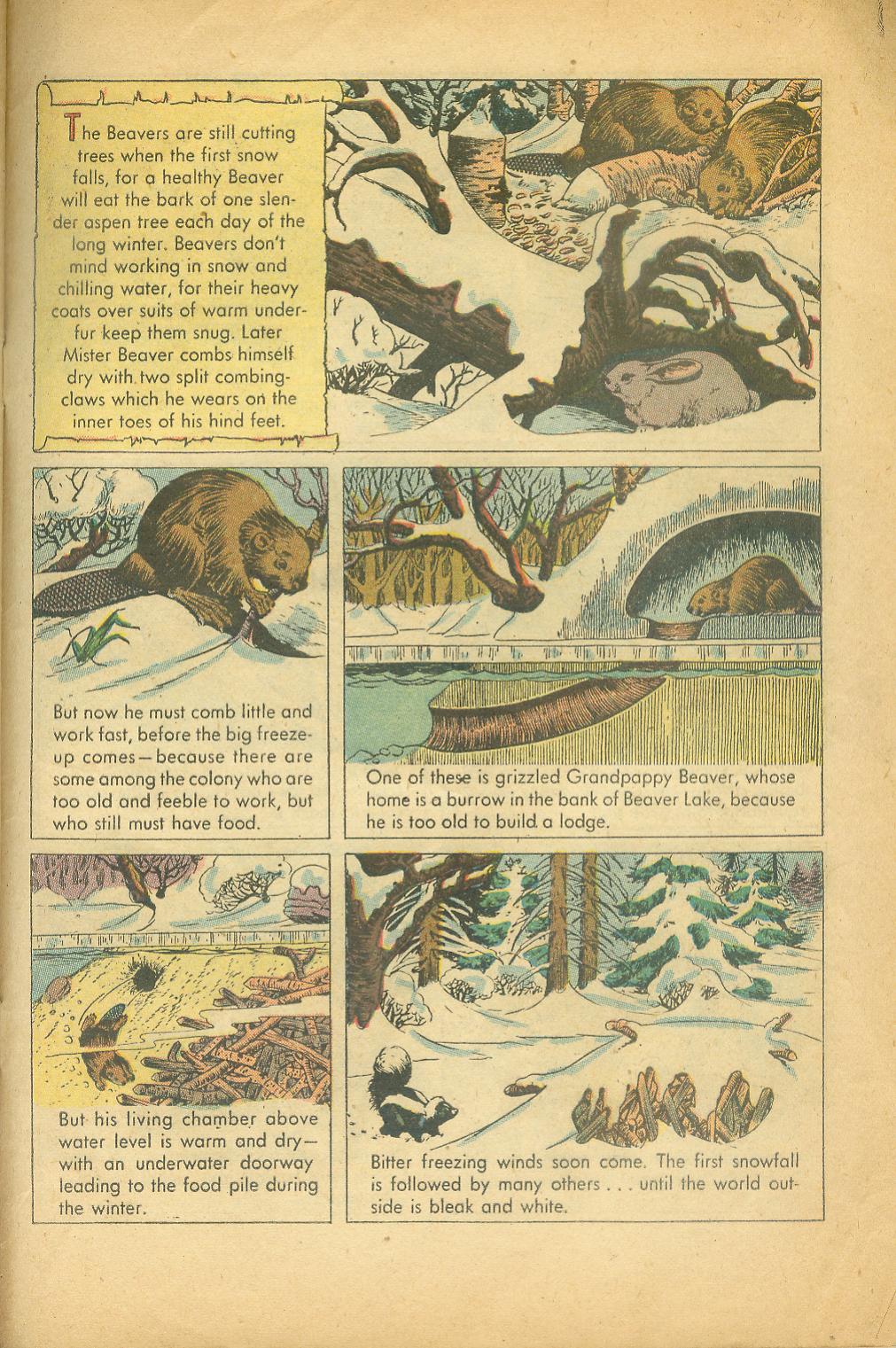 Four Color Comics Issue #625 - Page 31