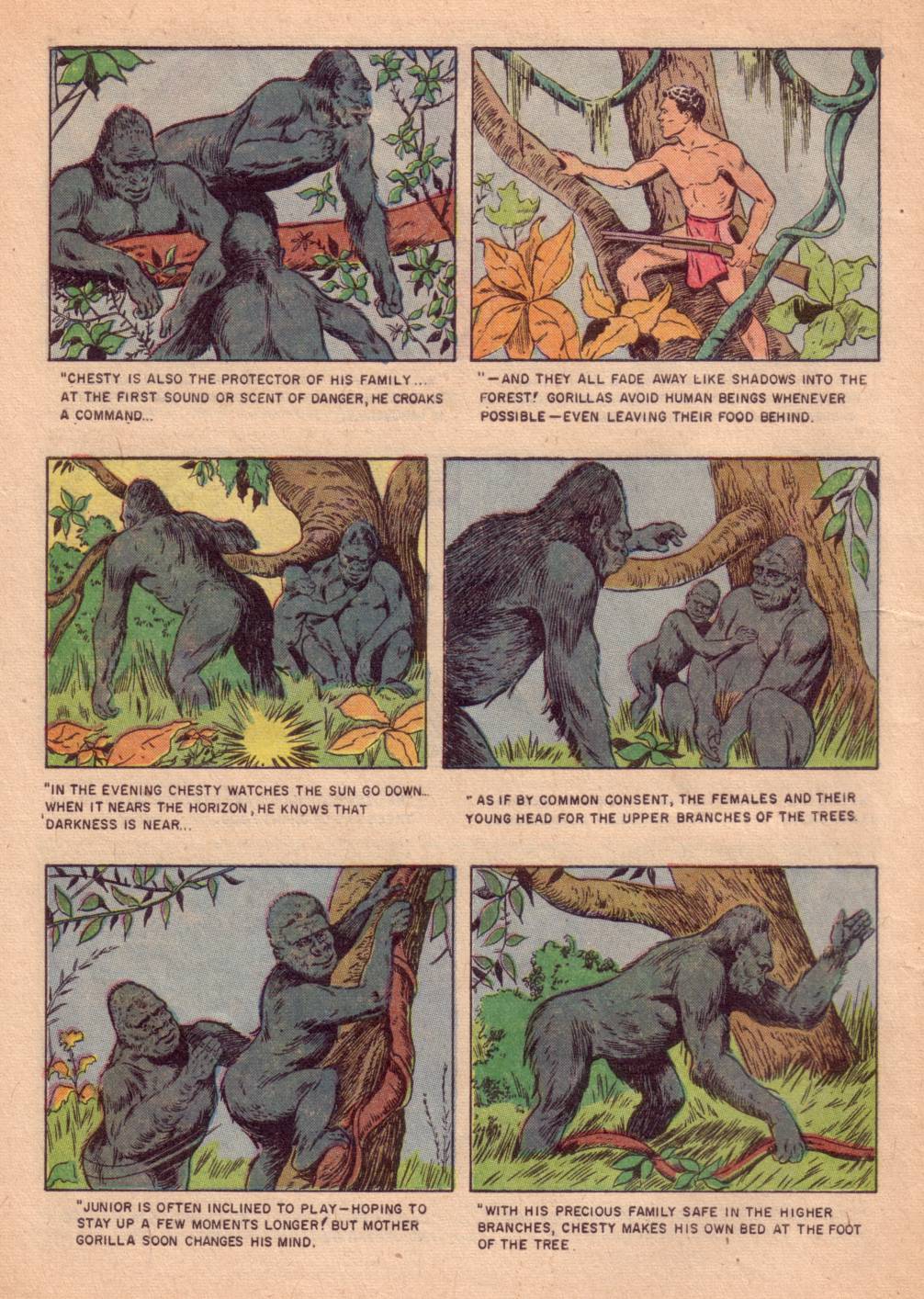 Four Color Comics Issue #662 - Page 10