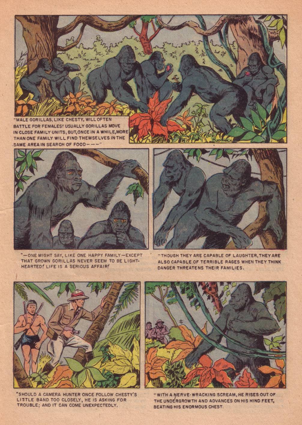 Four Color Comics Issue #662 - Page 11