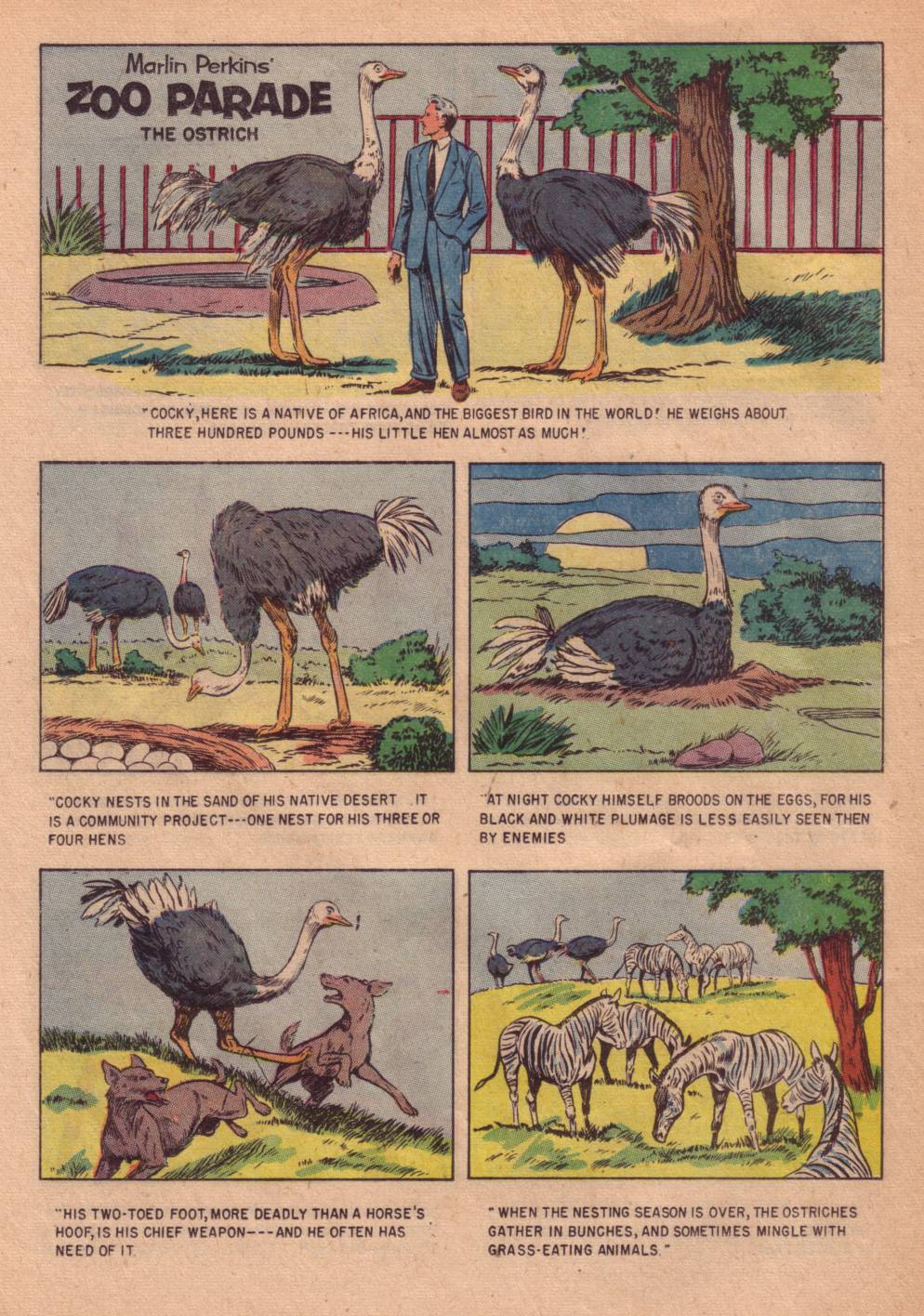 Four Color Comics Issue #662 - Page 26