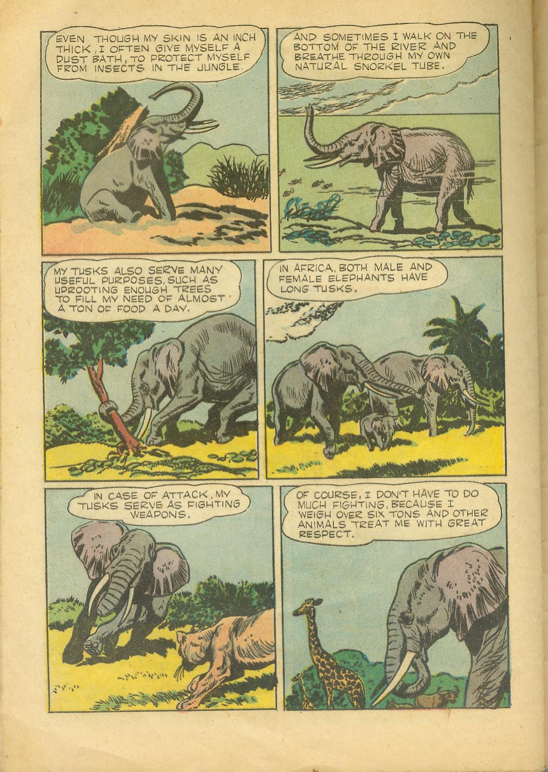 Four Color Comics Issue #727 - Page 32