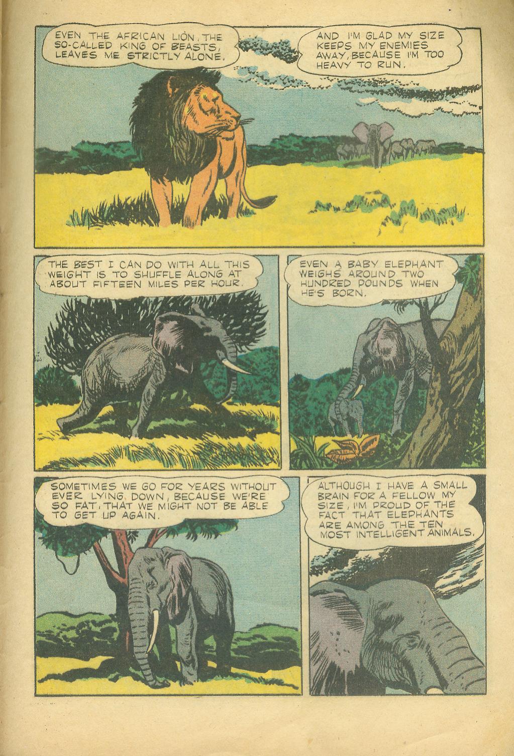 Four Color Comics Issue #727 - Page 33