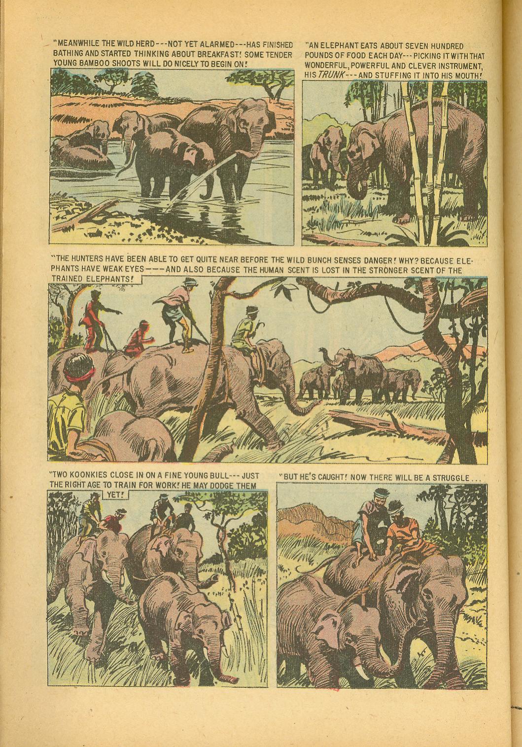 Four Color Comics Issue #949 - Page 22