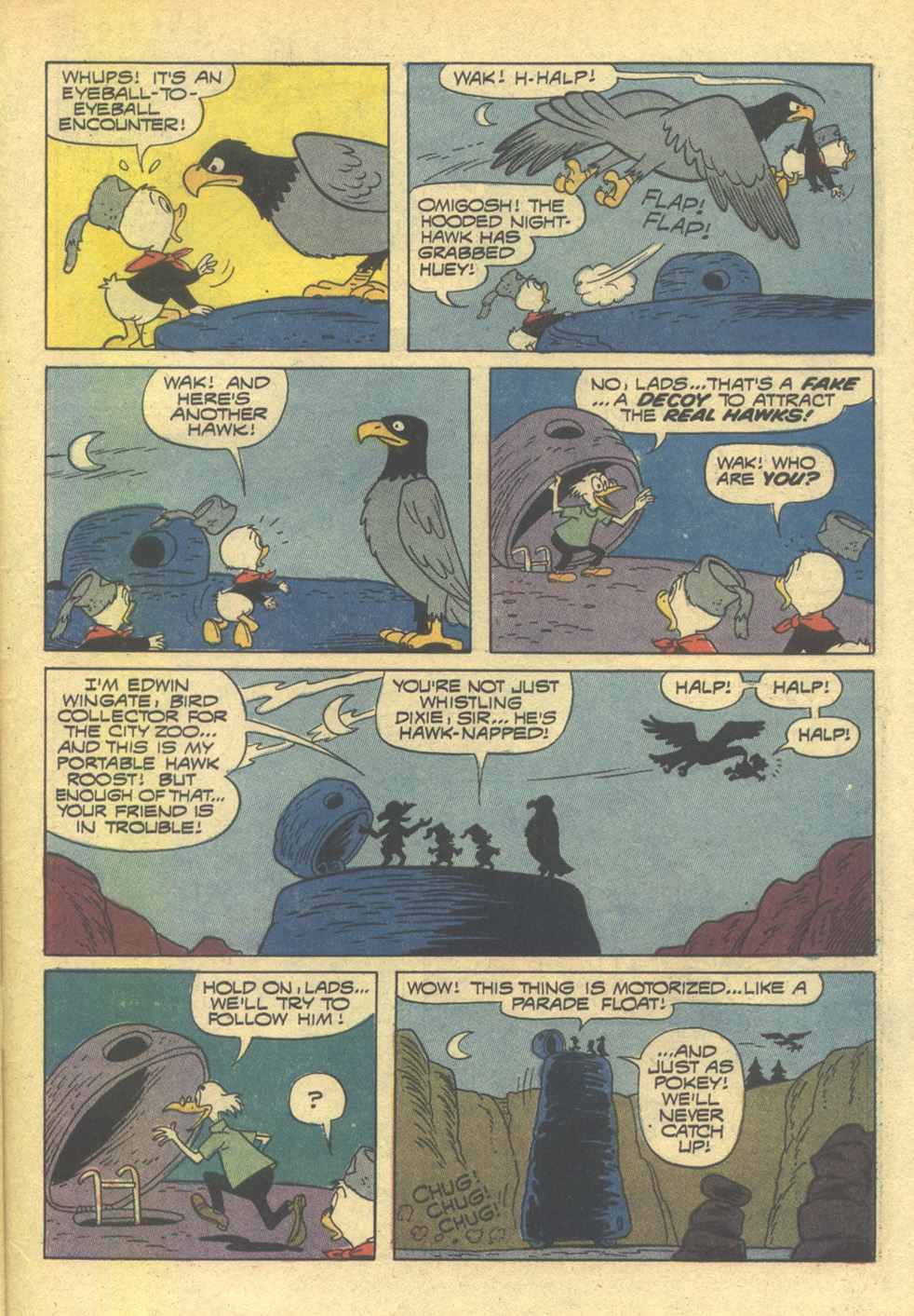 Huey, Dewey, and Louie Junior Woodchucks Issue #14 - Page 31