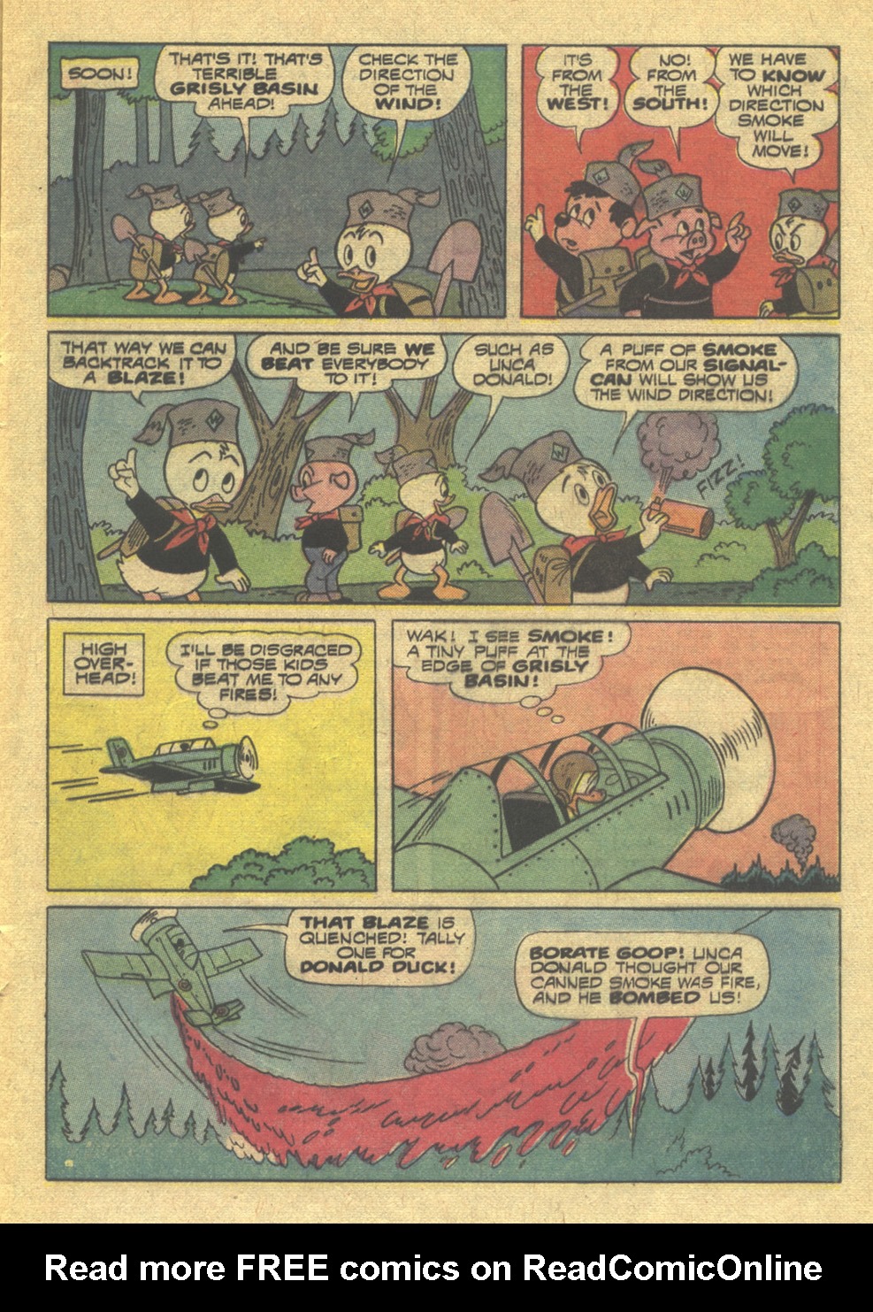 Huey, Dewey, and Louie Junior Woodchucks Issue #16 - Page 5