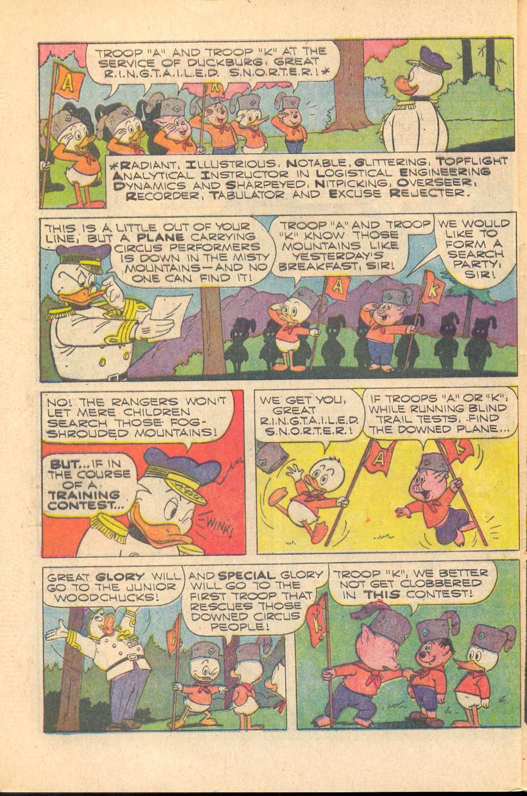 Huey, Dewey, and Louie Junior Woodchucks Issue #8 - Page 28