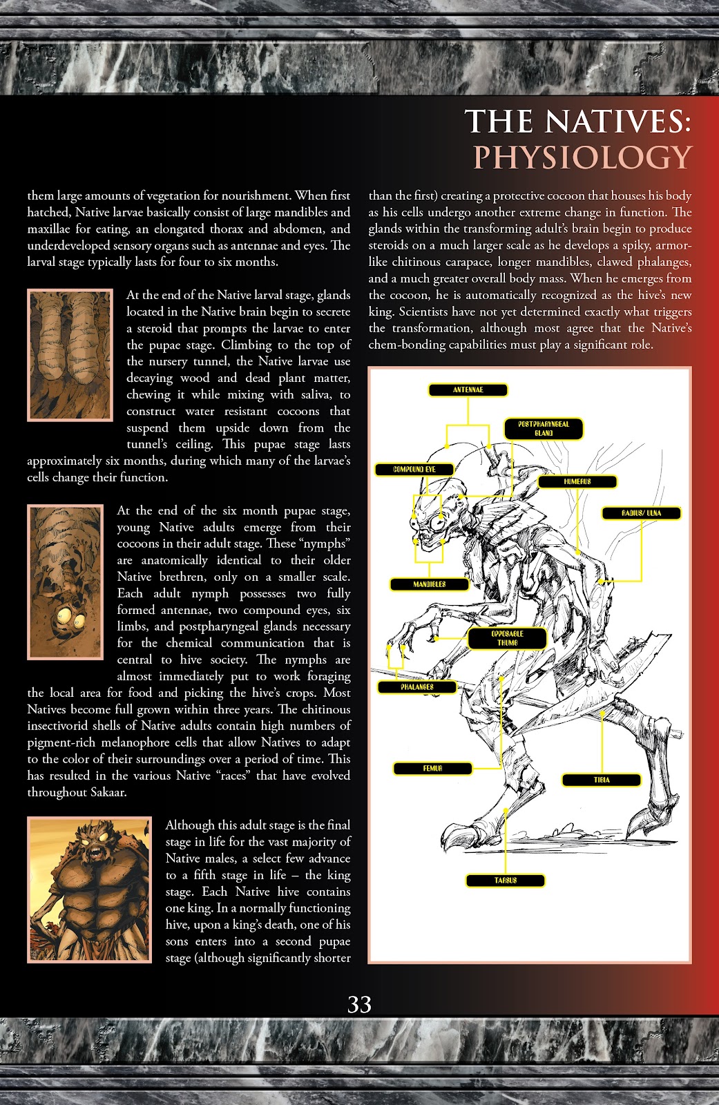 Hulk: Planet Hulk Omnibus TPB_(Part_6) - Page 94