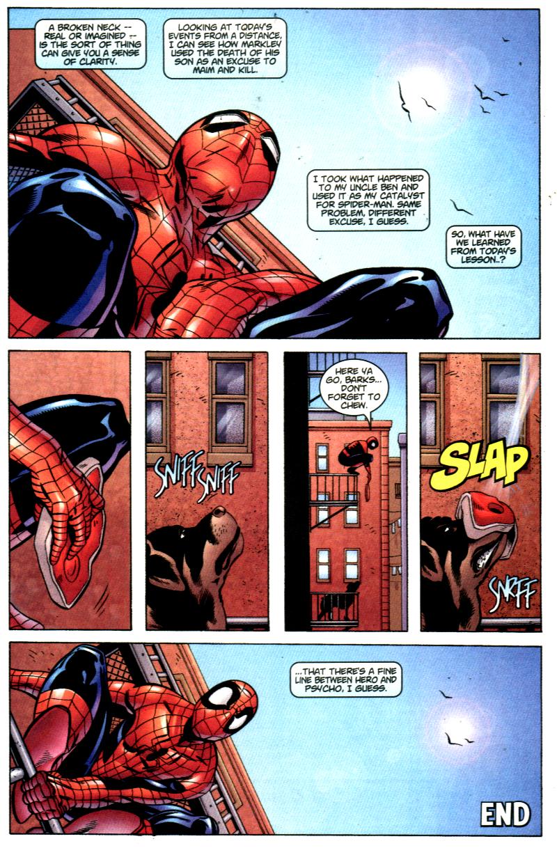 Peter Parker: Spider-Man Issue #32 - Page 24