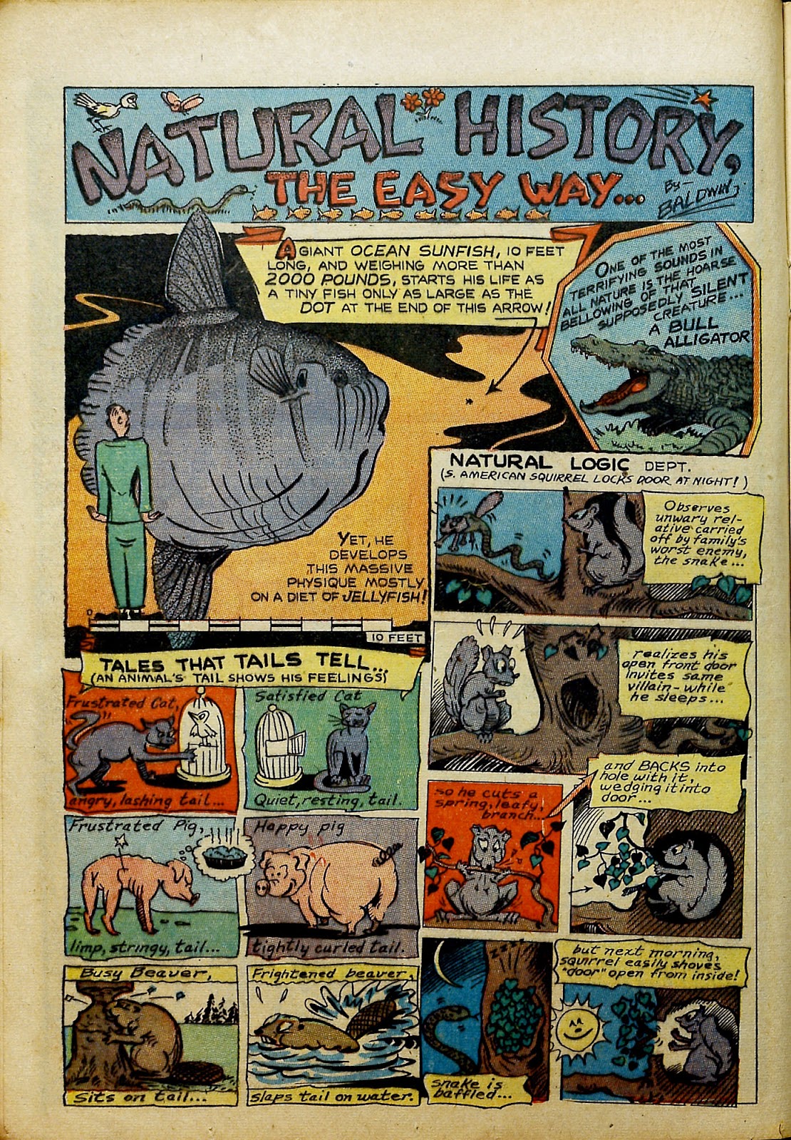 Prize Comics Issue #61 - Page 22