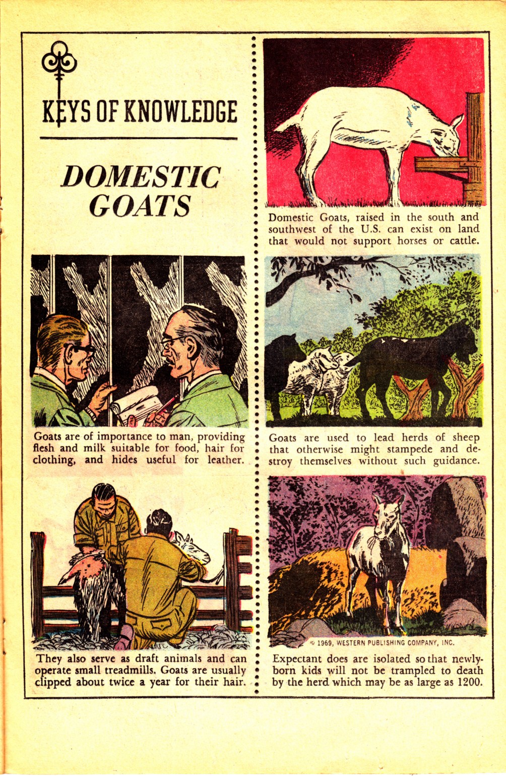 Scamp (1967) Issue #3 - Page 17
