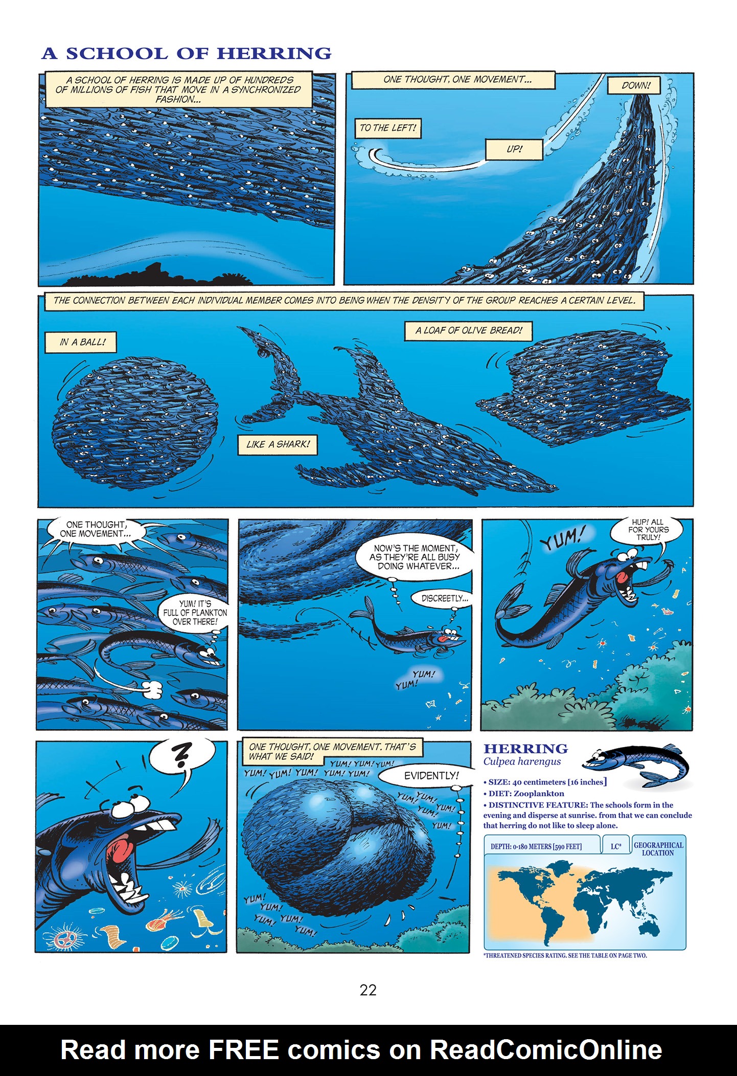 Sea Creatures Issue #1 - Page 24