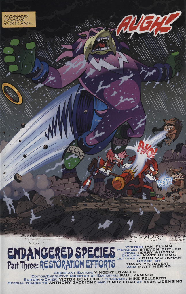 Sonic The Hedgehog (1993) Issue #245 - Page 4