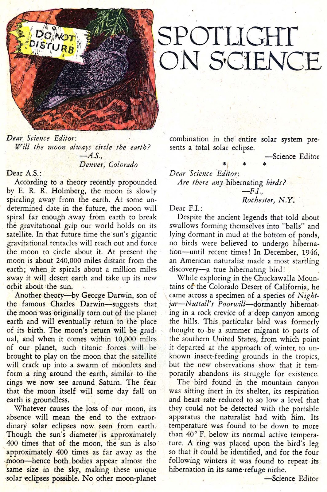 Strange Adventures (1950) Issue #98 - Page 24