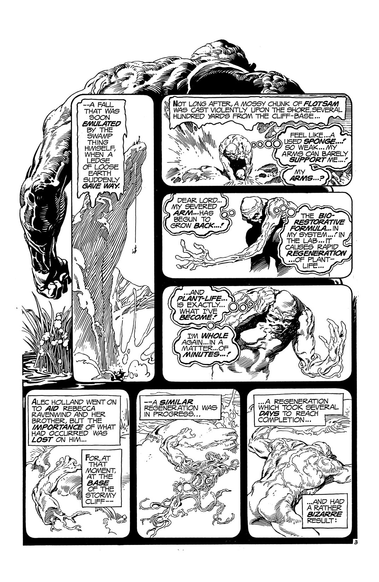 Swamp Thing (1972) Issue #19 - Page 4