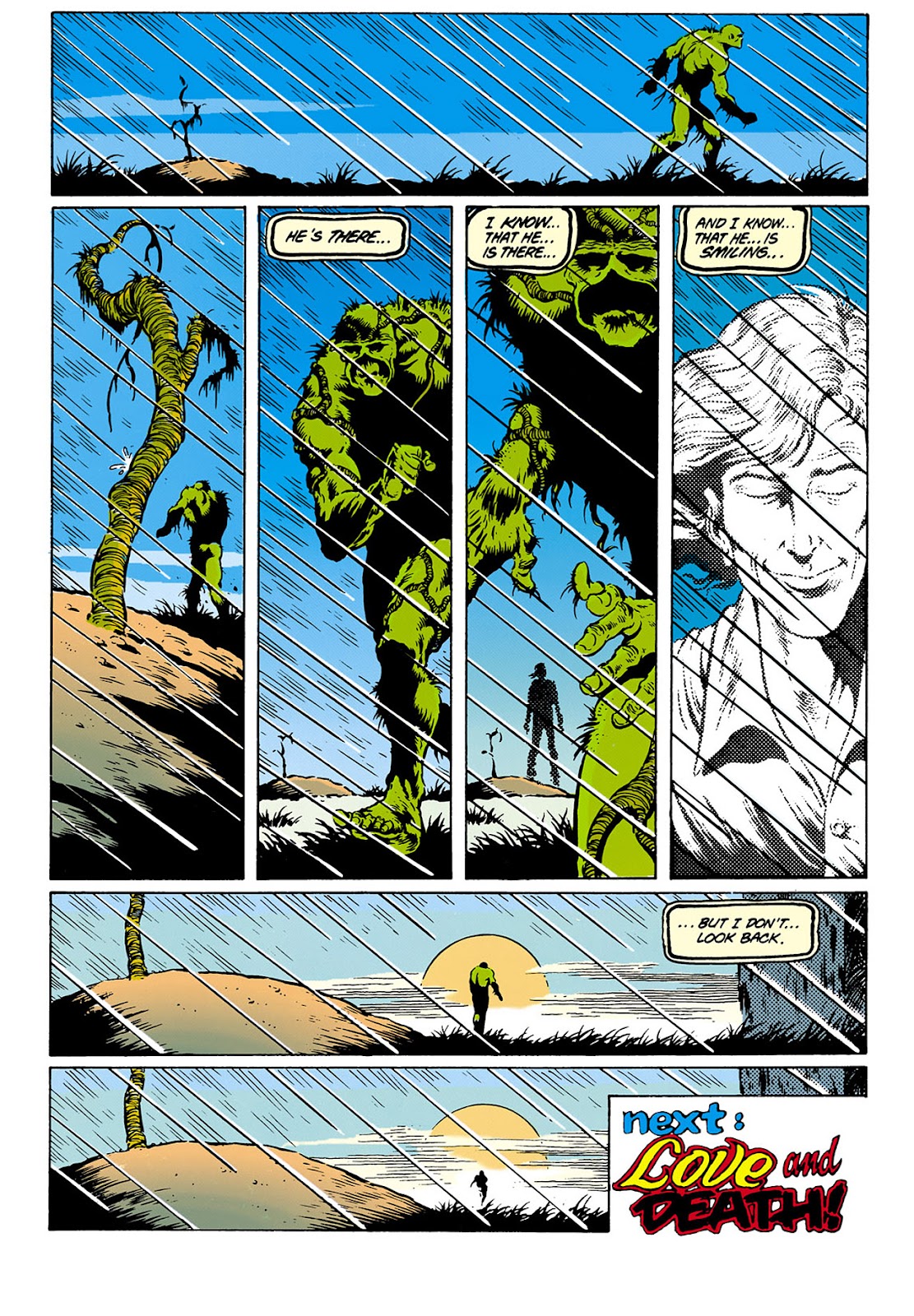 Swamp Thing (1982) Issue #28 - Page 24