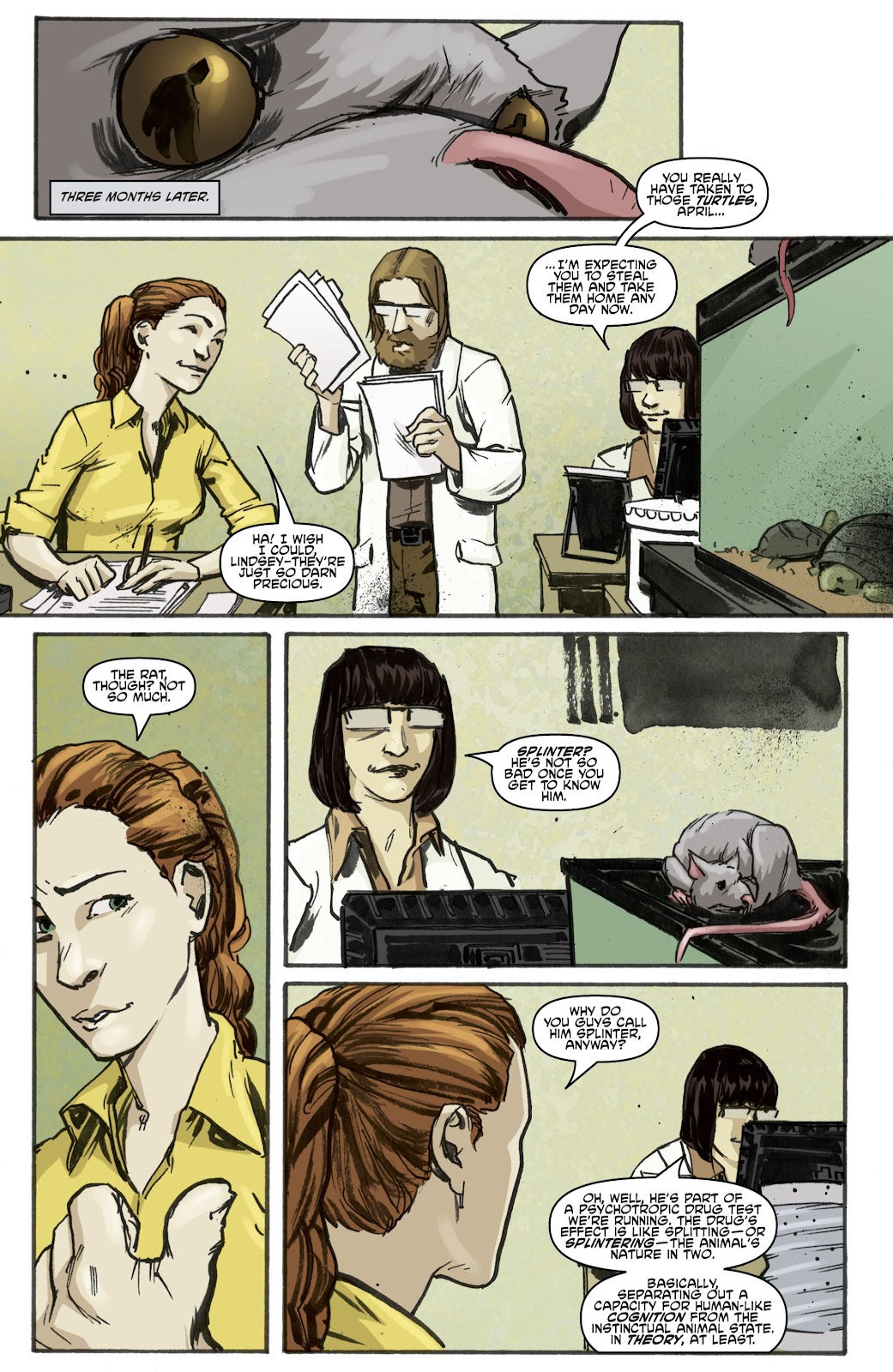 Teenage Mutant Ninja Turtles (2011) Issue #1 - Page 18