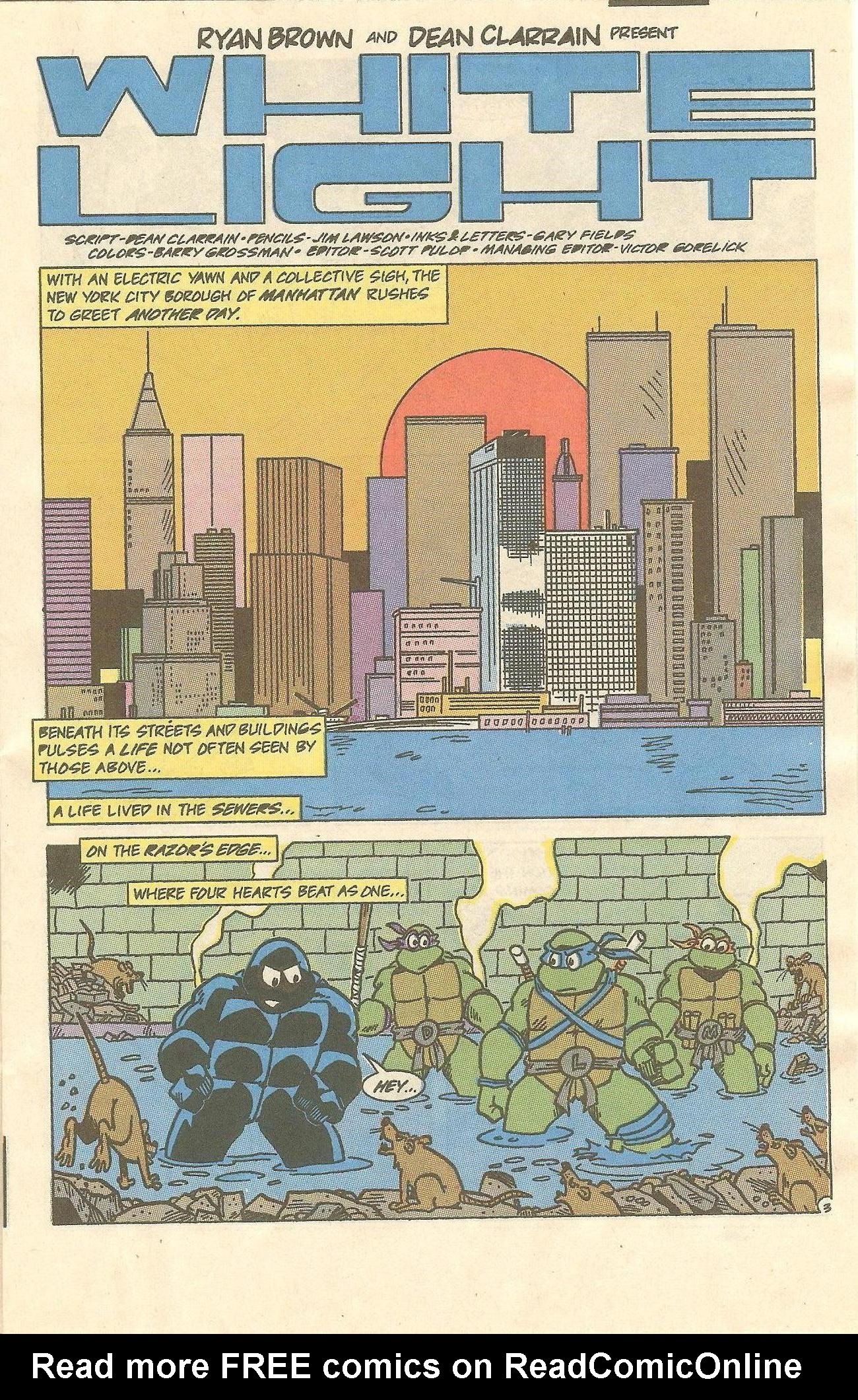 Teenage Mutant Ninja Turtles Adventures (1989) Issue #11 - Page 4