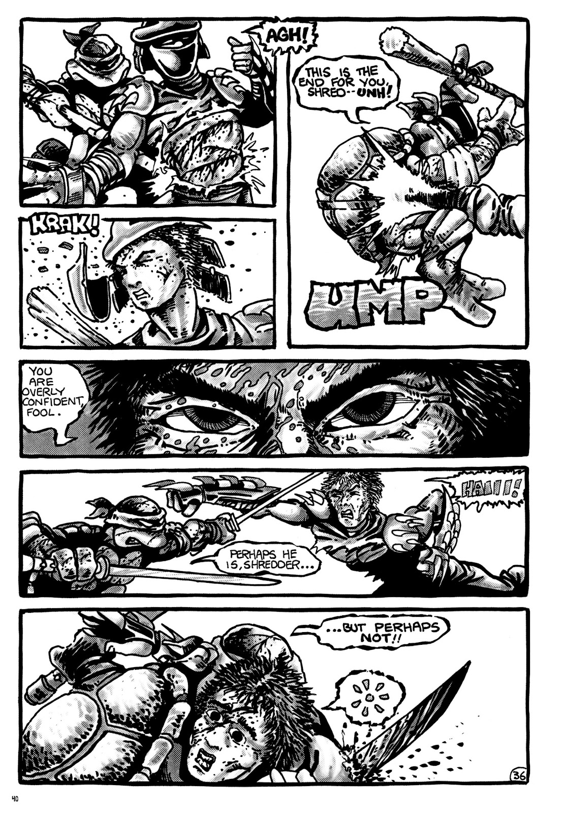 Teenage Mutant Ninja Turtles: The Ultimate Collection TPB_1_(Part_1) - Page 39