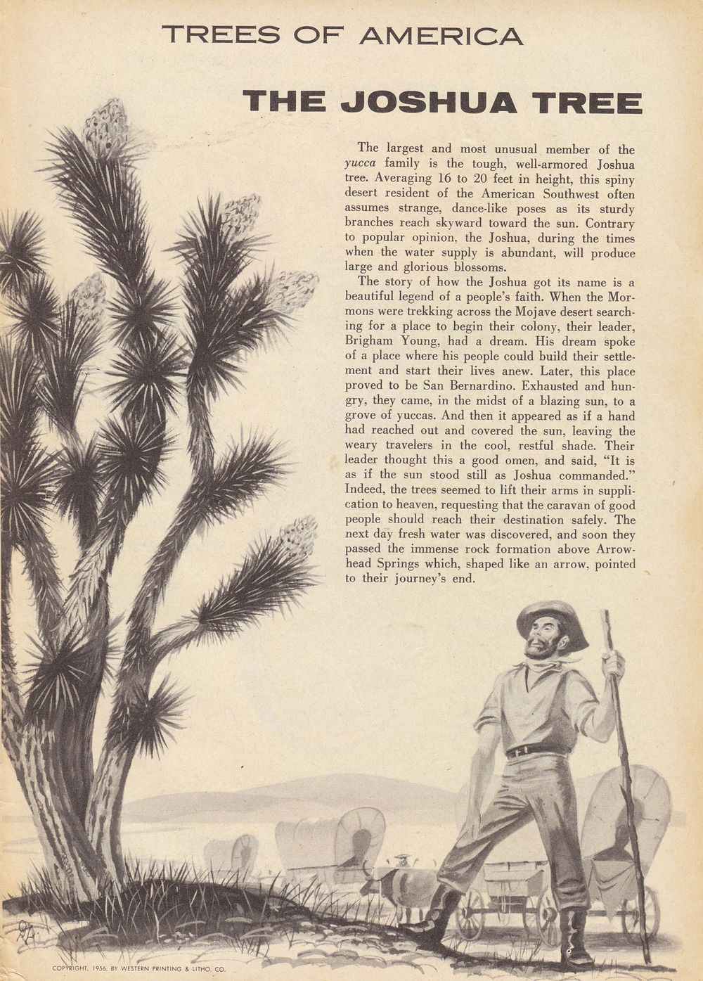 The Lone Ranger (1948) Issue #96 - Page 35