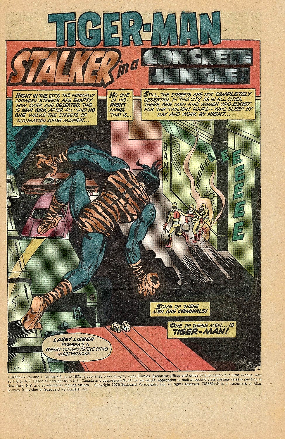 Tiger-Man Issue #2 - Page 3