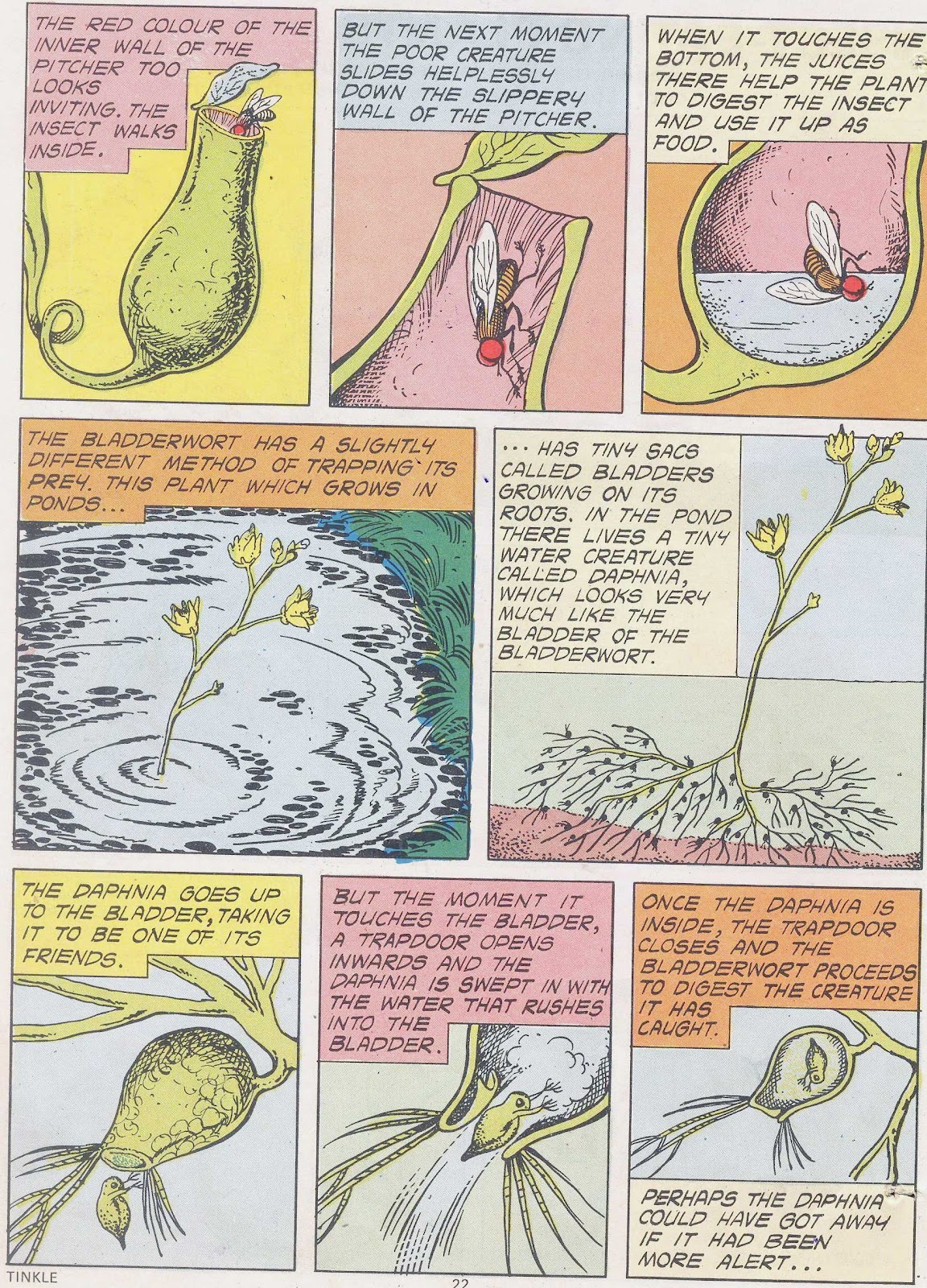 Tinkle Issue #7 - Page 24