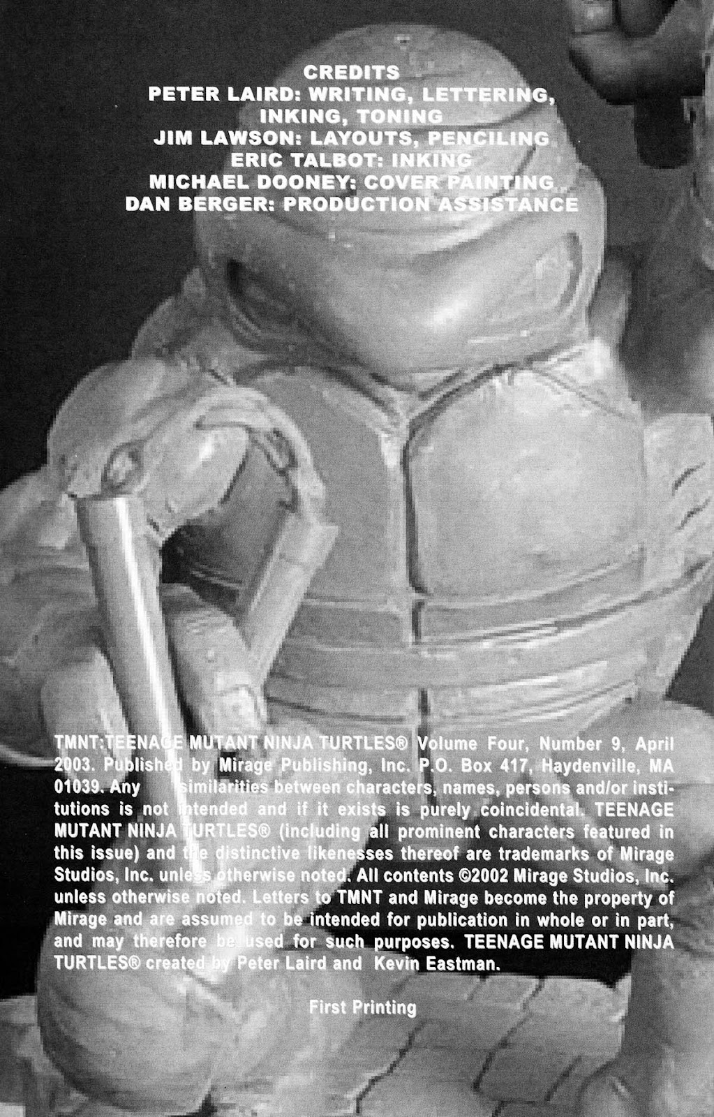 TMNT: Teenage Mutant Ninja Turtles Issue #9 - Page 2