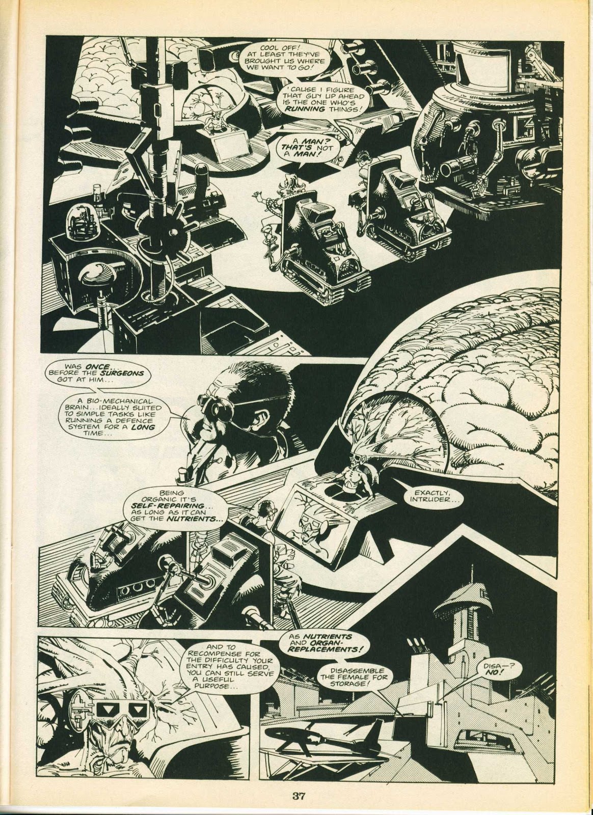 Warrior (1982) Issue #17 - Page 37