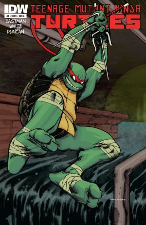 Read Teenage Mutant Ninja Turtles (2011) Comic Online