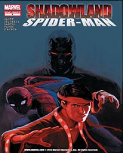 Shadowland: Spider-Man cover image